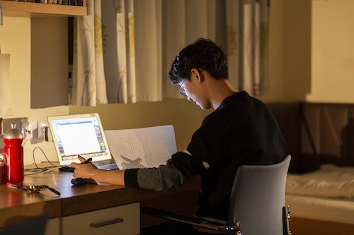 Male teenager studying in front of laptop