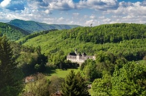 Castle in the green mountains
