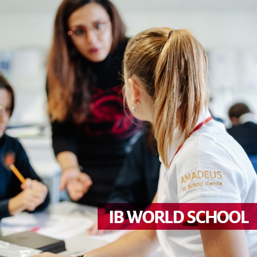 As an officially recognized IB World School, AMADEUS is a first-class, private international school in Vienna